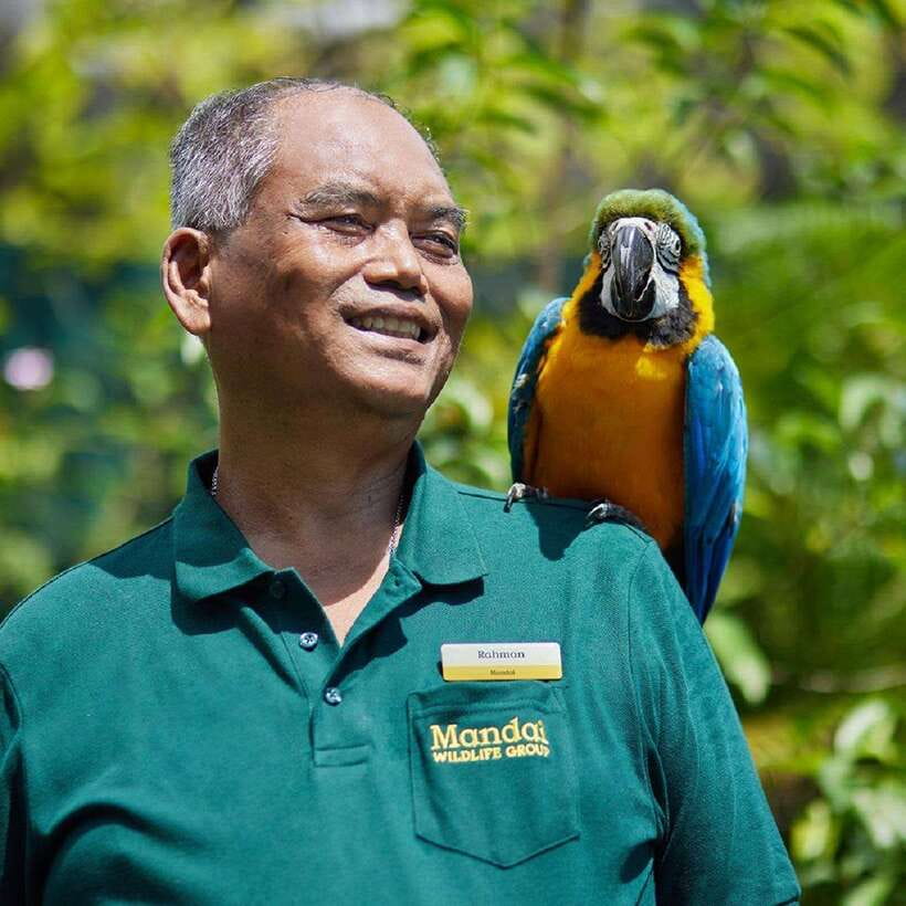 Singapore: Bird Paradise Entry Ticket - Is Bird Paradise worth booking?