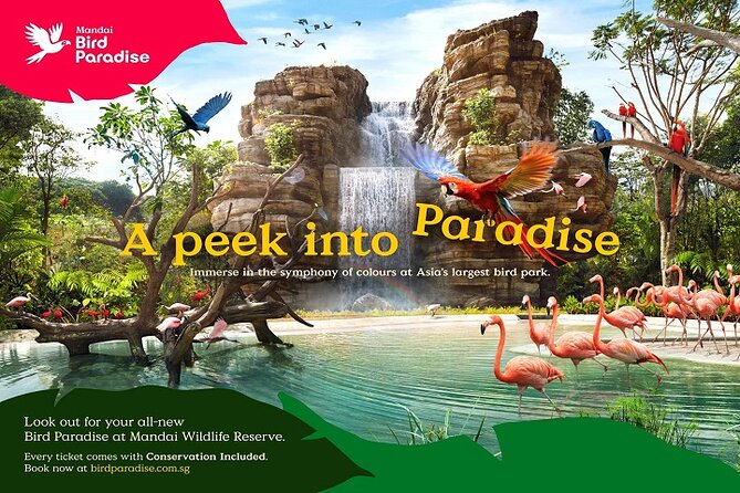 Singapore Bird Paradise Entry Ticket - What the visit feels like in practice
