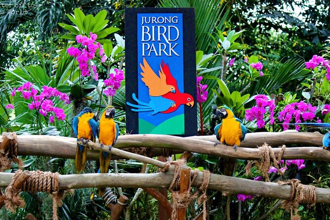 Singapore Bird Paradise & Zoo Full Day (Ticket & Transfer ) - How to make the eight hours work