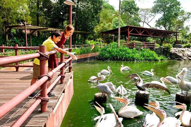 Singapore Bird Paradise & Zoo Full Day (Ticket & Transfer ) - What is included, and what is not