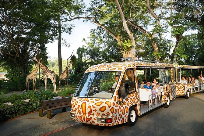 Singapore Bird Paradise & Zoo Full Day (Ticket & Transfer ) - Should you book this Singapore wildlife day?