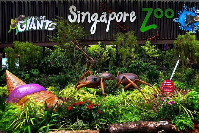 Singapore Bird Paradise & Zoo Full Day (Ticket & Transfer ) - The bird-park stop: confirm the name before you go