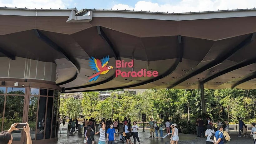 Singapore: Bird Paradise - Asian hornbills, spoonbills, and bamboo groves