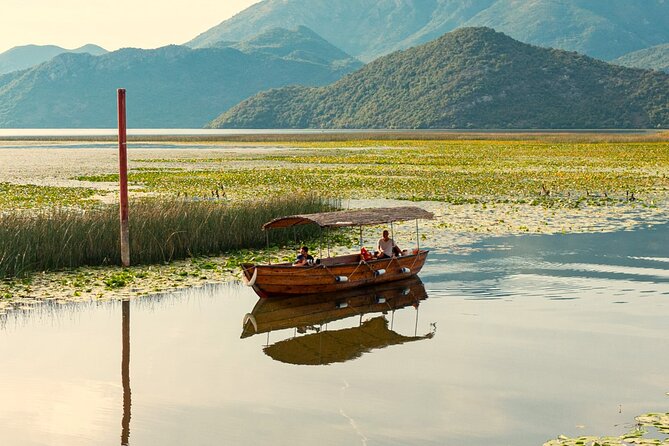 Skadar Lake National Park: Birdwatching & Photography Tour - Kamenik and the search for rare birds