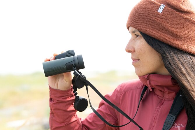 Skagit Valley Birding + Deception Pass Day Tour From Seattle - Walking demands, weather, and group size