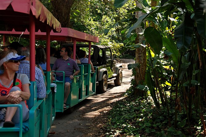 Skip the Line: Flamingo Gardens Admission Ticket in Fort Lauderdale - The aviary is one of the strongest stops