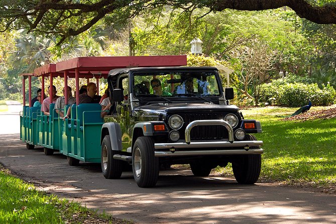 Skip the Line: Flamingo Gardens Admission Ticket in Fort Lauderdale - The Wray House gives the property a human story