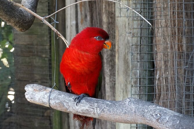 Skip the Line: World of Birds Admission Ticket - A self-paced visit works well for families