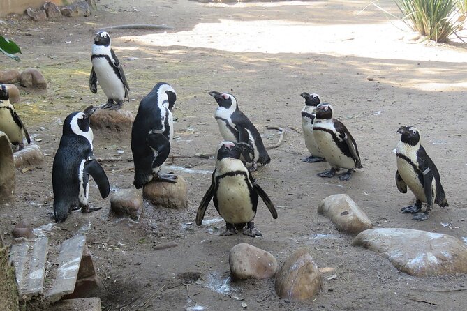 Skip the Line: World of Birds Admission Ticket - What skipping the ticket line is worth