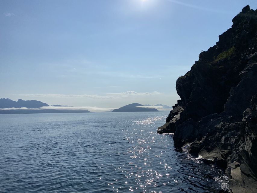Skjervøy: Birds and Wildlife of Arctic Norway - My call on Explore 70 Degrees