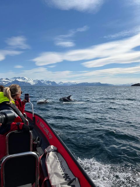 Skjervøy: Birds and Wildlife of Arctic Norway - What the safety gear means in Arctic weather