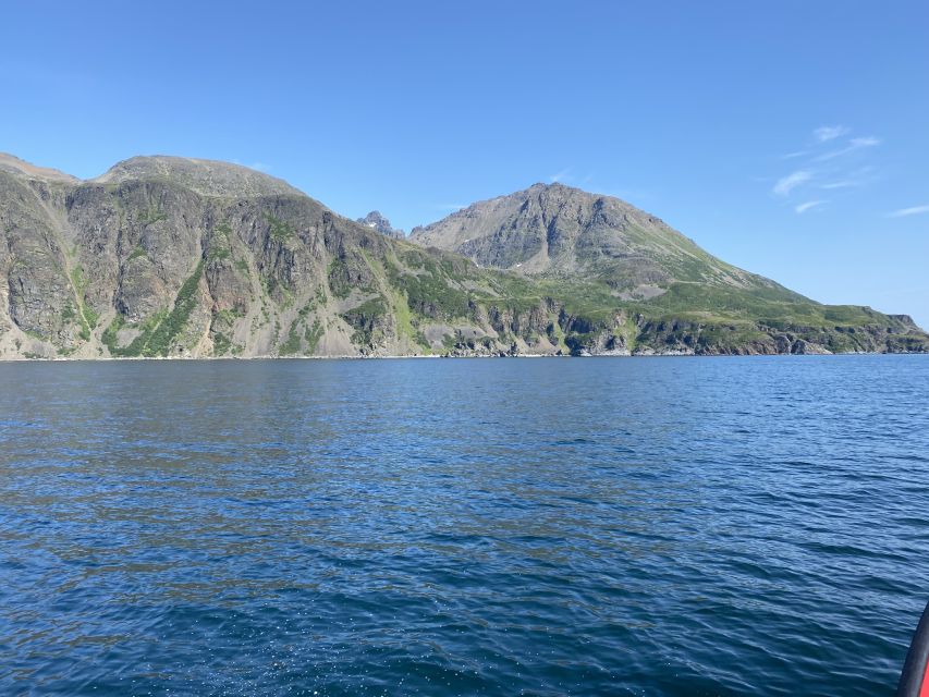 Skjervøy: Birds and Wildlife of Arctic Norway - Who will enjoy this three-hour cruise