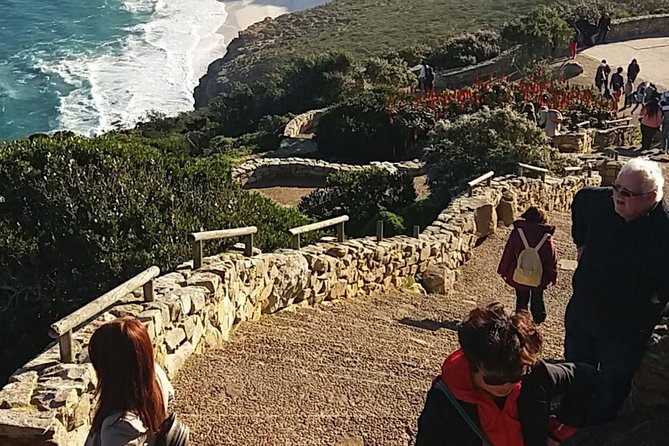 Small Group Cape Of Good Hope Penguins Wine Tasting Inc Park Fees - Boulders Beach brings you close to African penguins