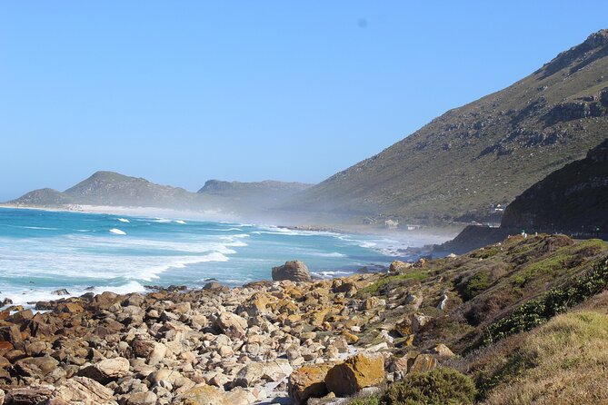 Small Group Private Tour To Cape Point Penguins From Cape Town Excl Entry Fees - Hout Bay gives you harbor time