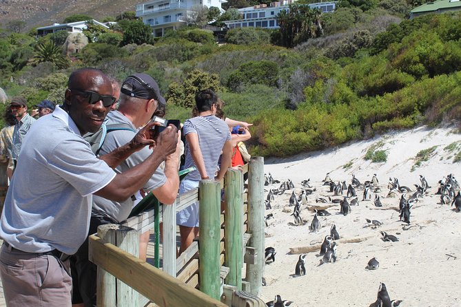 Small Group Private Tour To Cape Point Penguins From Cape Town Excl Entry Fees - Cape of Good Hope brings wildlife and open coast