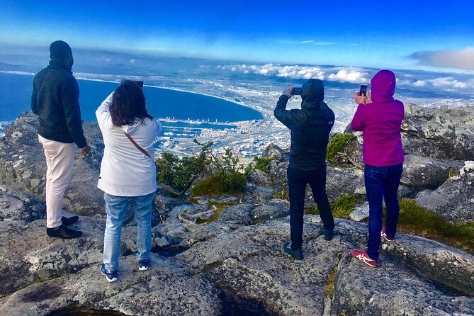 Small Group Table Mountain Penguin Colony and Cape Point Tour - Boulders Beach and the African penguin colony