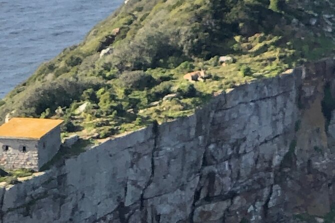Small Group Tour Boulders Beach Penguin Colony Cape of Good Hope - Boulders Beach and the African penguins
