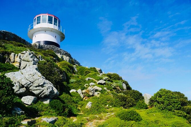 Small Group Tour: Penguins, Cape Point and Cape of Good Hope - Chapman’s Peak from Hout Bay