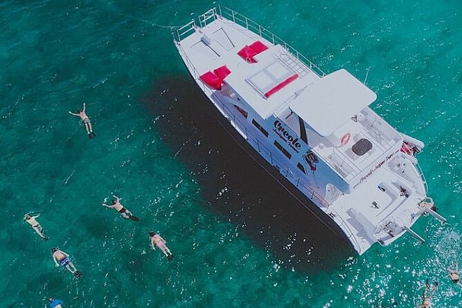 Snorkel - Lobster Lunch Cruise to Bird Island and Paradise Reef - Quick points before you book