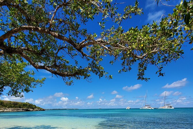 Snorkel - Lobster Lunch Cruise to Bird Island and Paradise Reef - Should you book the Bird Island lobster cruise?