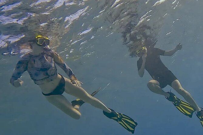 Snorkel with Turtles & see the Flamingos - Weather and wildlife can change the plan