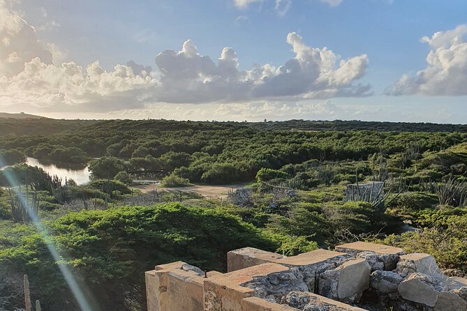 Spanish Lagoon Mangrove Trail & Bird Watching - Why Spanish Lagoon makes a strong morning outing