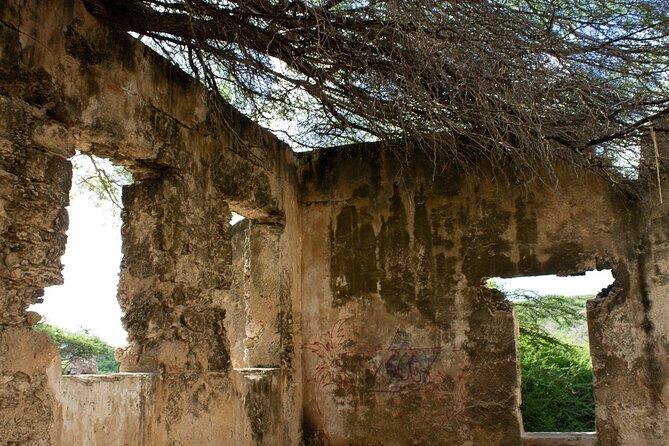 Spanish Lagoon Mangrove Trail & Bird Watching - What the private format means at $90