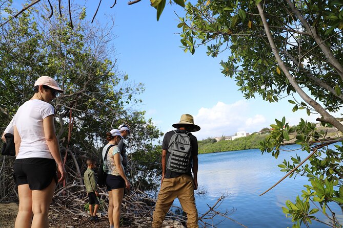 Spanish Lagoon Mangrove Trail & Bird Watching - Who will enjoy the hike most