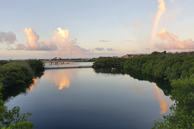 Spanish Lagoon Mangrove Trail & Bird Watching - Starting at Pos Chiquito and the old bridge