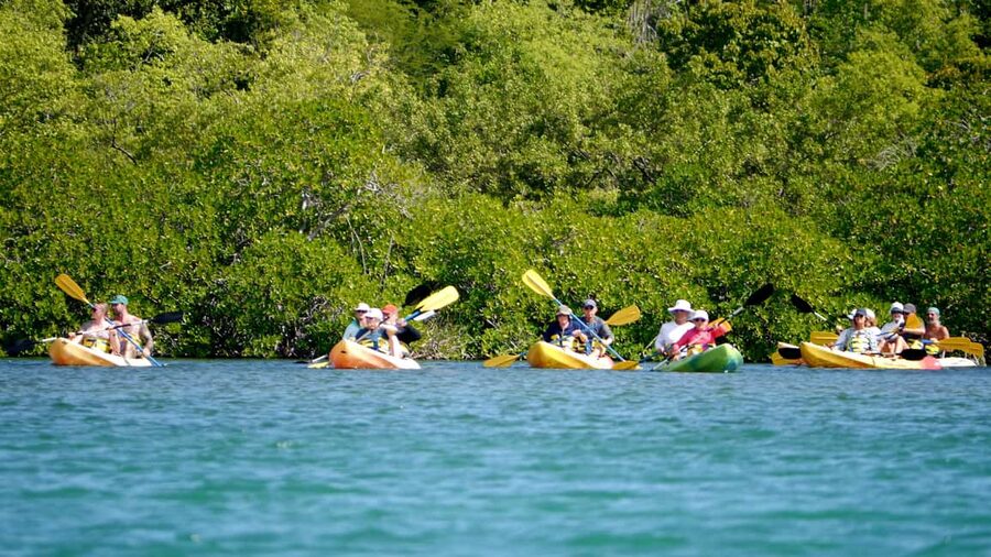 St. John's, Antigua Kayak, Snorkeling, & Beach Bird Island - From St. John’s to North Sound Marine Park