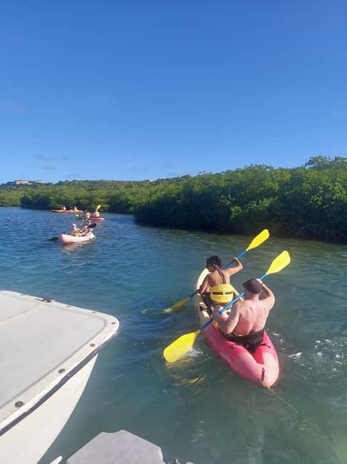 St. John's, Antigua Kayak, Snorkeling, & Beach Bird Island - Snorkeling near Great Bird Island
