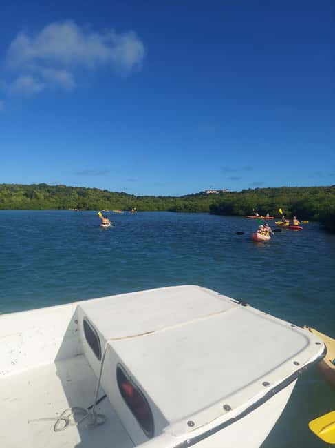 St. John's, Antigua Kayak, Snorkeling, & Beach Bird Island - Who will enjoy this Antigua excursion