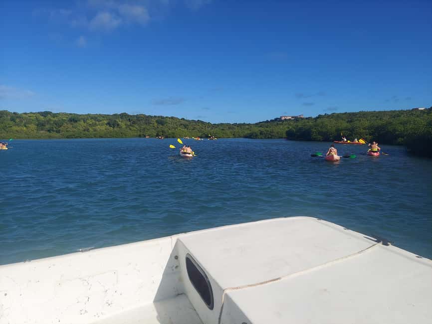 St. John's, Antigua Kayak, Snorkeling, & Beach Bird Island - Small details that make the day easier