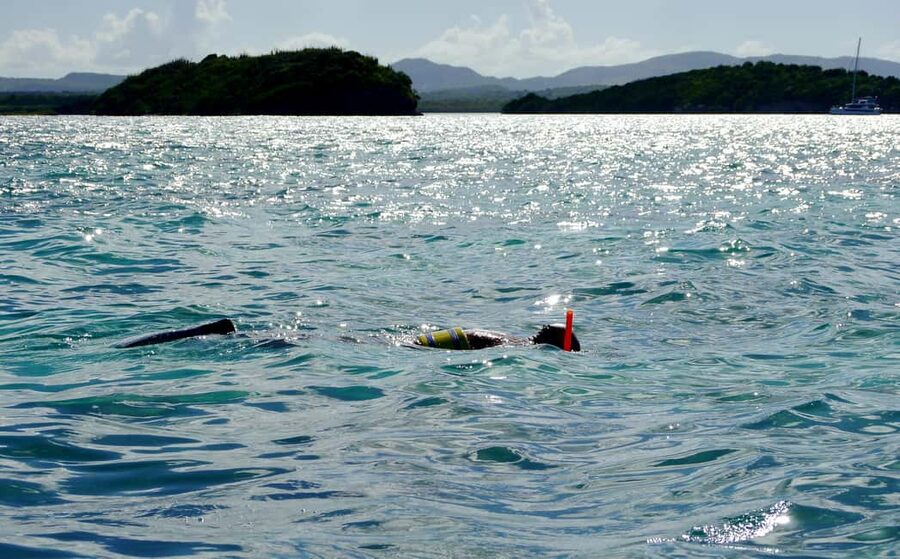 St. John's, Antigua Kayak, Snorkeling, & Beach Bird Island - Forty minutes among red mangroves