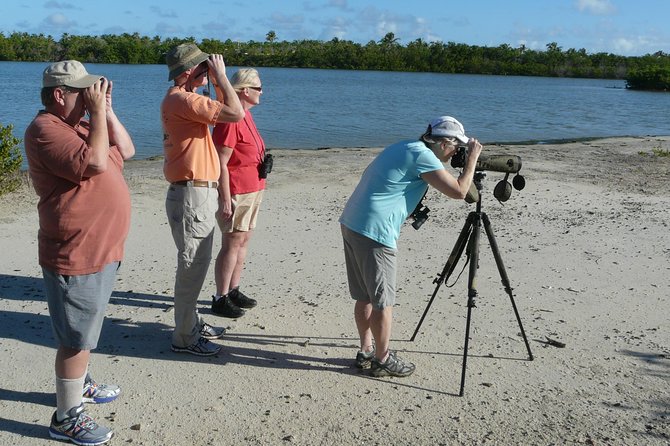 St.Martin - St.Maarten: Small Group, Birding Tour / Bird Watching Tour - Six habitats packed into roughly four hours
