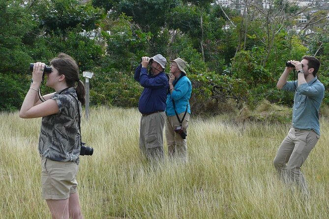 St.Martin - St.Maarten: Small Group, Birding Tour / Bird Watching Tour - Is the $129 price fair?