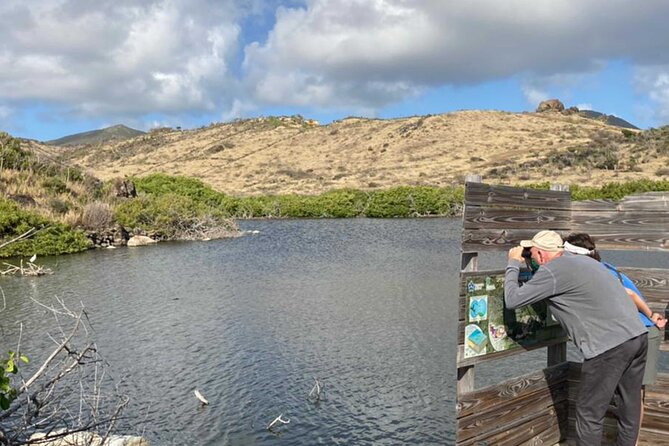 St.Martin - St.Maarten: Small Group, Birding Tour / Bird Watching Tour - The local guides make the difference