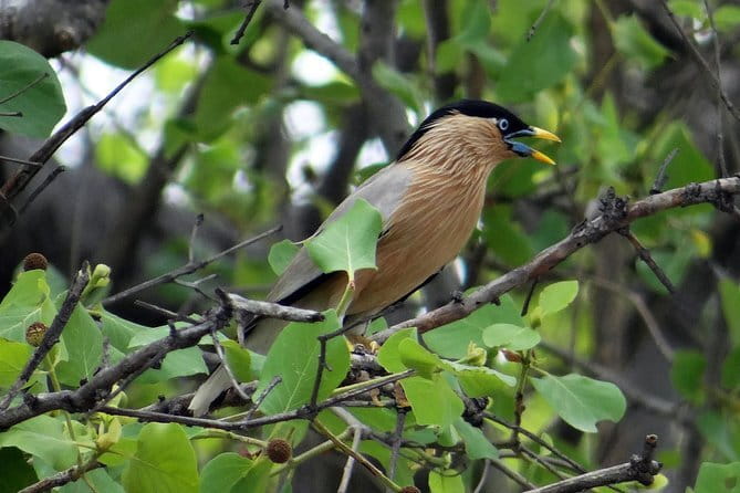 Sultanpur Bird Sanctuary Tour Near Delhi - Climbing the viewing towers
