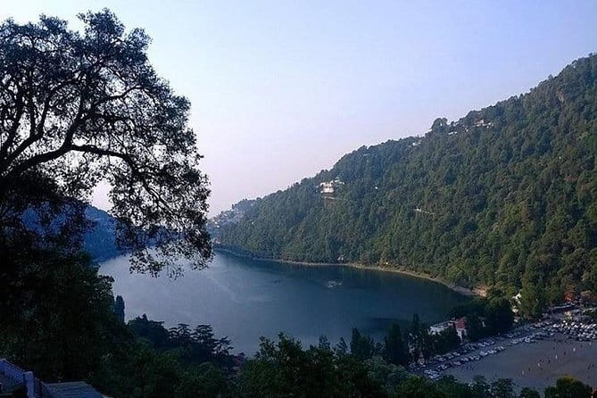 Sultanpur Bird Sanctuary Tour Near Delhi - More than birds: blue deer and small mammals