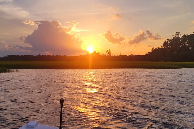 Sunset, Dolphin/Birding On A Private Guided Savannah Cruise - Is $395 a good value for four people?