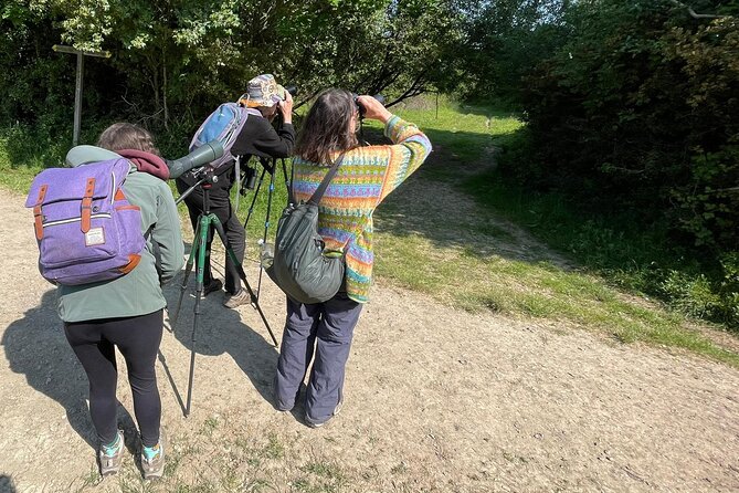 Sussex Birdwatching Private Guided Day Tour - Who should book this day