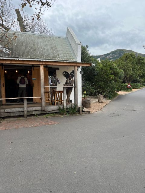 Swim with Penguins at Boulders Beach Penguin Colony - Simon’s Town leads into the penguin colony