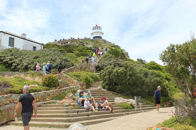 Swim with Penguins At Boulders Chapman's Peak Exc Entry Fees - Hout Bay and the winding Chapmans Peak road
