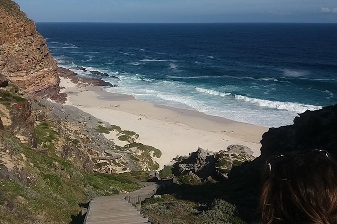 Swim with Penguins At Boulders Chapman's Peak Exc Entry Fees - What the guide can add