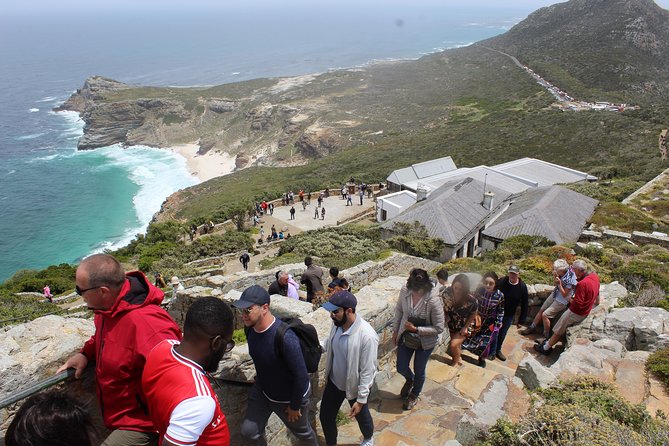 Swim with Penguins At Boulders Chapman's Peak Exc Entry Fees - From Signal Hill to Camps Bay