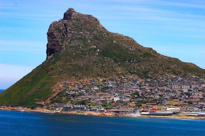 Table Mountain and Cape Peninsula Tour with Penguins - Simon’s Town and the African penguins