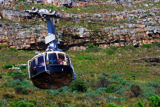 Table Mountain and Cape Peninsula Tour with Penguins - Table Mountain by rotating cable car