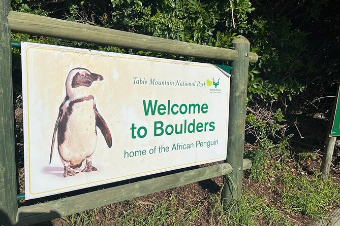 Table Mountain and Penguins Half Day Shared Group Tour - Why this half-day Cape Town tour works