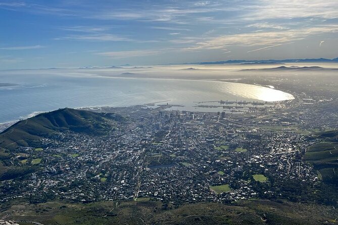 Table Mountain and Penguins Half Day Shared Group Tour - Bo-Kaap: colorful homes and Cape Malay food