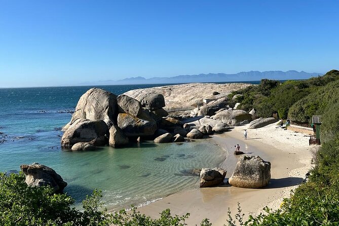 Table Mountain and Penguins Half Day Shared Group Tour - Boulders Beach and the African penguins